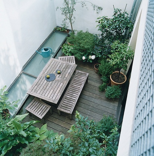 家居风水植物摆放
