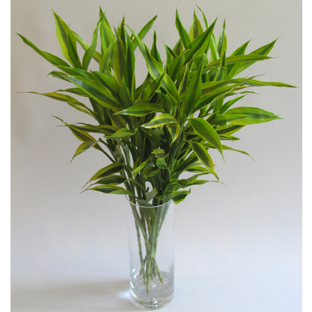 风水知识你知多少